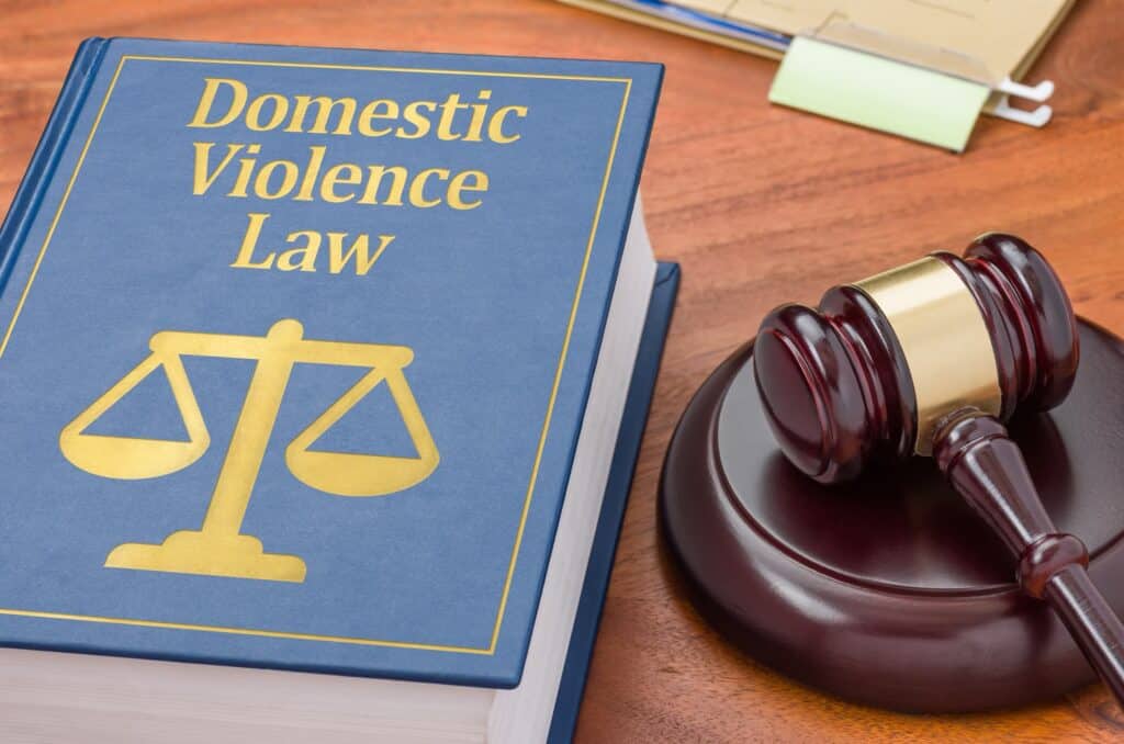 How Does The State Of Nevada Define Domestic Violence In Vegas